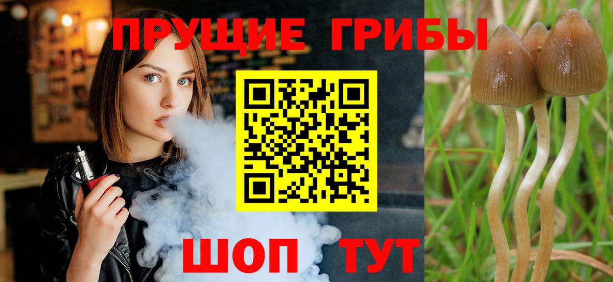 Псилоцибиновые грибы Magic Shrooms  Вход с VPN  Энгельс  Галлюциногенные грибы мухоморы 