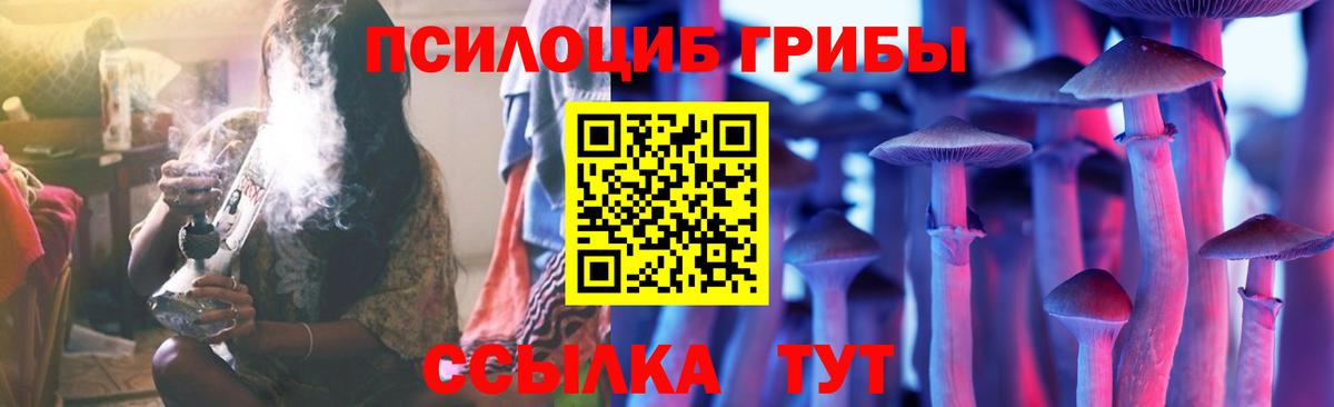 Псилоцибиновые грибы Psilocybine cubensis Энгельс